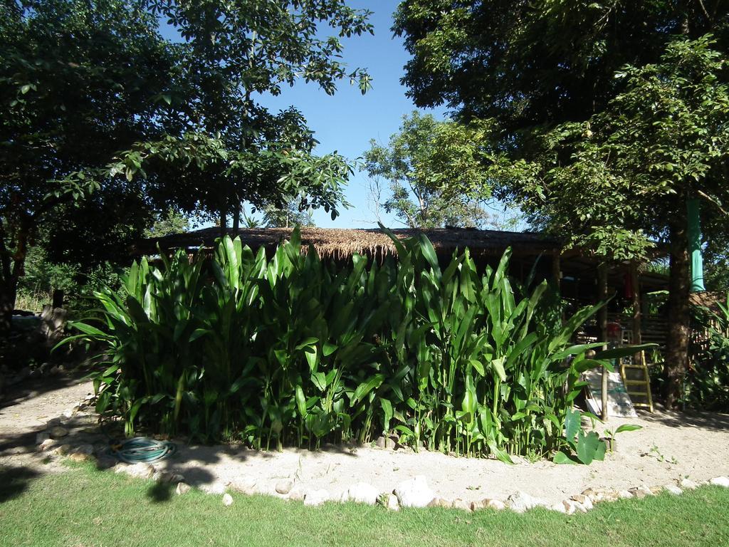 Pai Bamboo Hut Hotel Kültér fotó