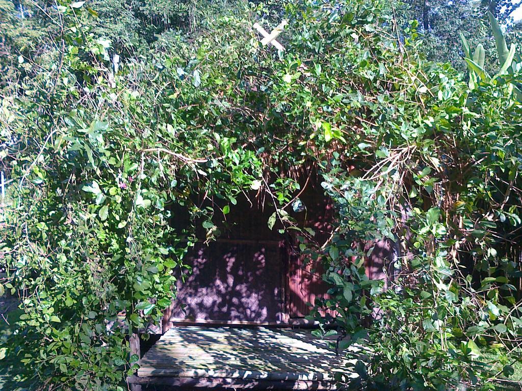Pai Bamboo Hut Hotel Szoba fotó