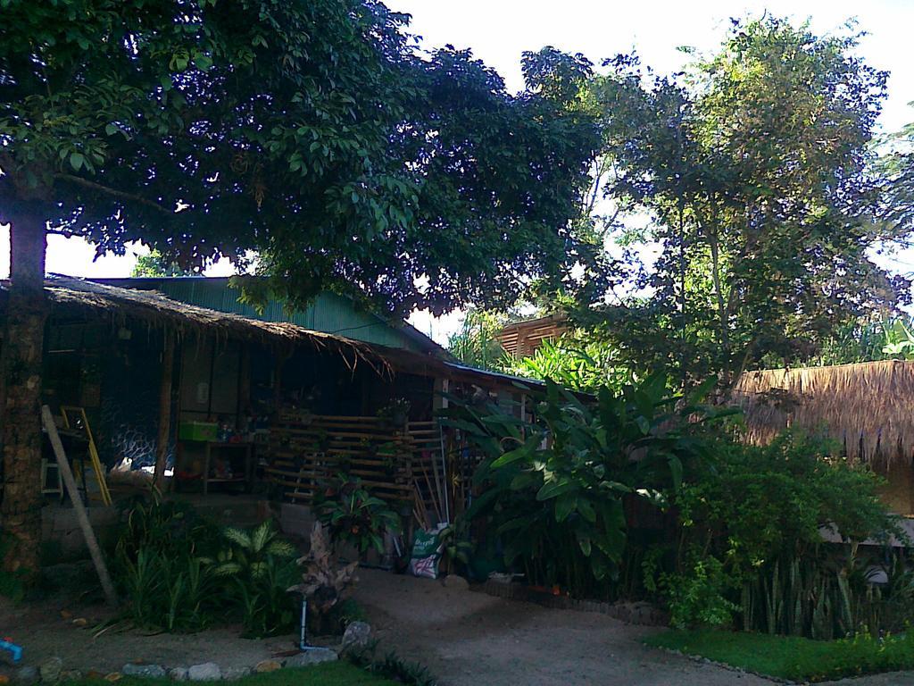 Pai Bamboo Hut Hotel Kültér fotó