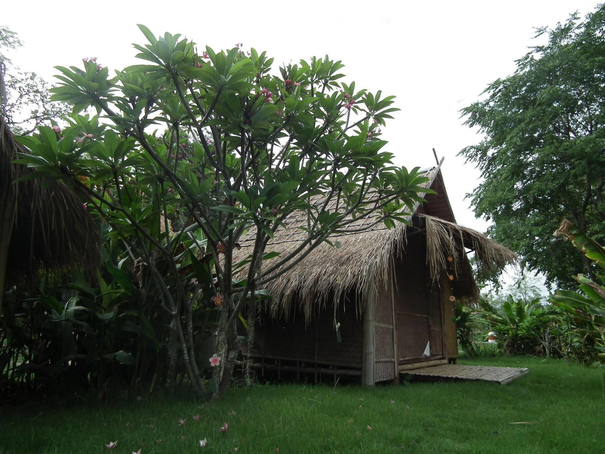 Pai Bamboo Hut Hotel Kültér fotó