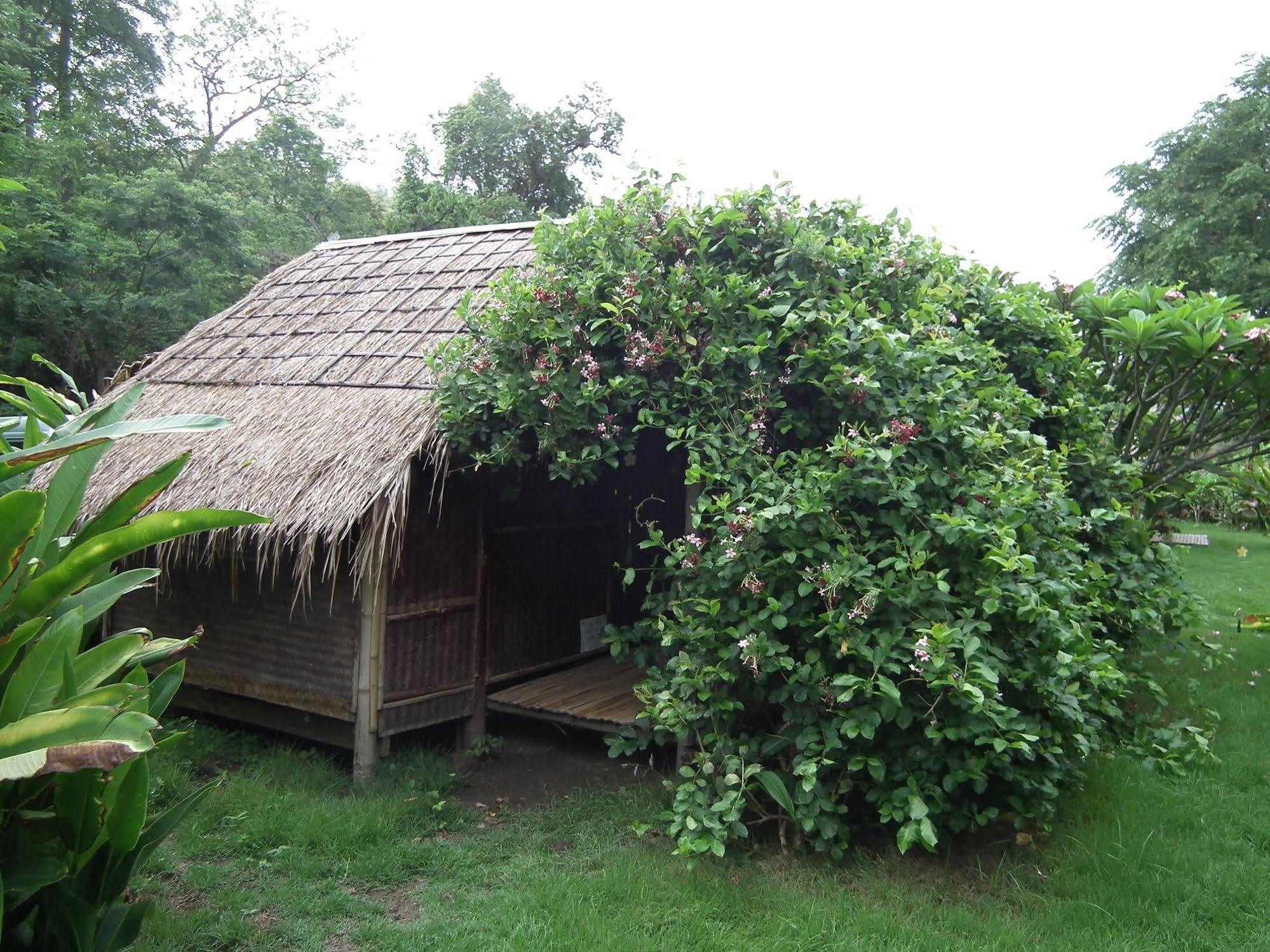 Pai Bamboo Hut Hotel Kültér fotó